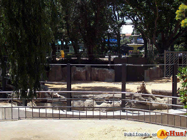 /public/fotos2/Elefantes-Zoo-Barcelona-10-22062009.jpg