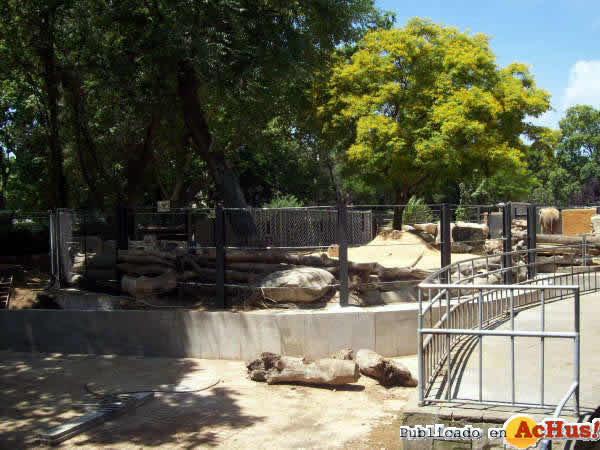 /public/fotos2/Elefantes-Zoo-Barcelona-12-22062009.jpg