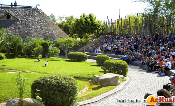 /public/fotos2/Exhibicion-Bioparc-20102014.jpg