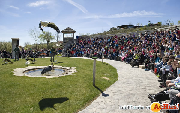 /public/fotos2/Exhibicion-Rapaces-28052015.jpg