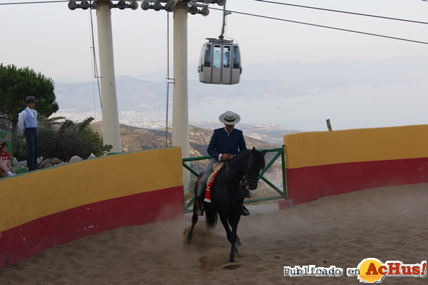 /public/fotos2/Exhibicion-ecuestre-15072015.jpg