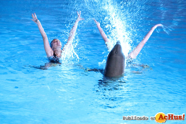 /public/fotos2/Exhibicion-nocturna-delfines-eyone-2015.jpg