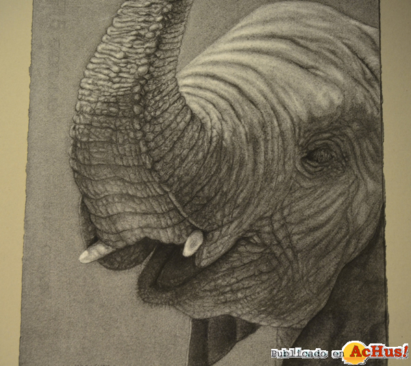 /public/fotos2/Exposicion-de-dibujo-22022015.jpg