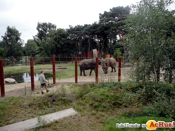 /public/fotos2/Greta-y-Betty-en-su-nuevo-hogar-en-Holanda.jpg