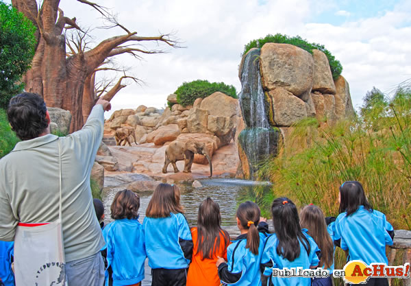 /public/fotos2/Grupos-escolares-2011-2012-en-Bioparc.jpg
