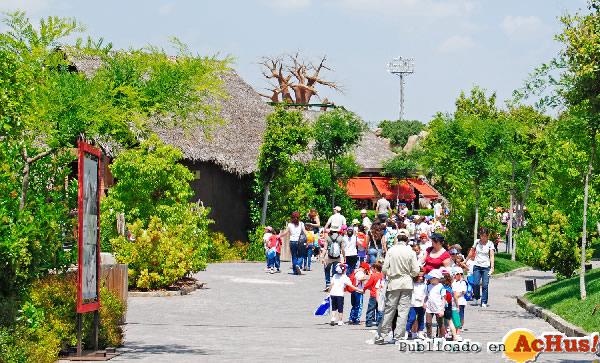 /public/fotos2/Grupos-escolares-Bioparc-Valencia-2011.jpg