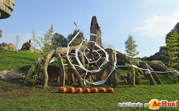 /public/fotos2/Halloween-29102015.jpg