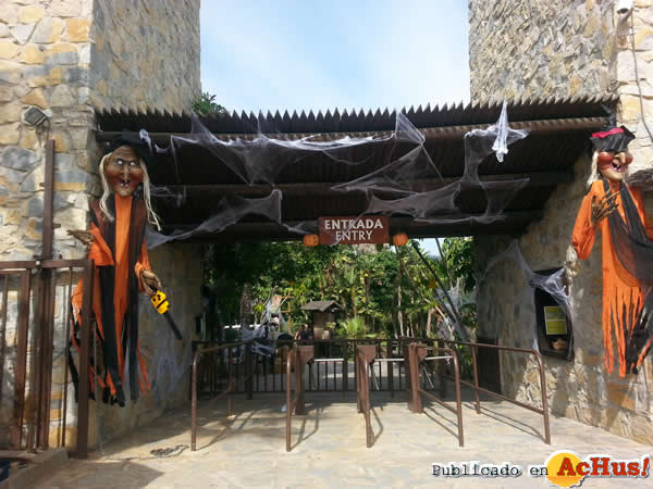 /public/fotos2/Halloween-Selwo-Aventura-31102014.jpg