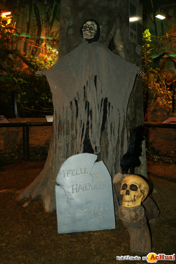 /public/fotos2/Halloween2-30102012.jpg