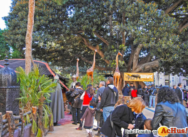 /public/fotos2/Jaima-Bioparc-Valencia-02012013.jpg