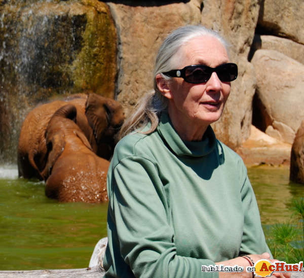 /public/fotos2/Jane-Goodall-elefantes-10-05-2012.jpg