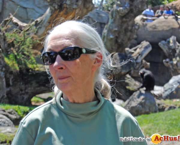 /public/fotos2/Jane-Goodall-visitando-bosque-ecuatorial-10.0-5-2012.jpg