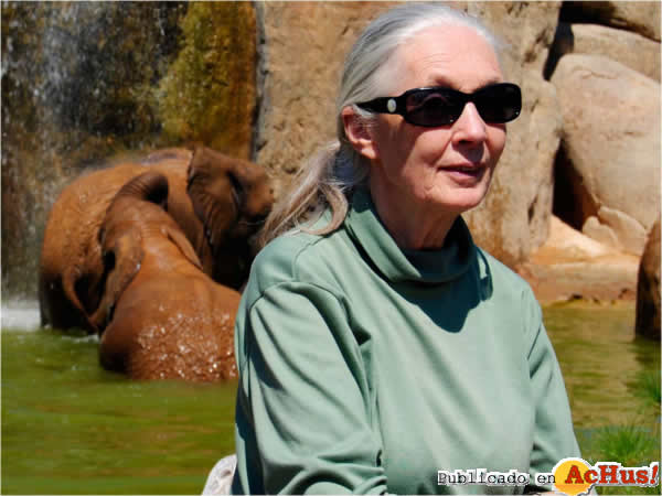 /public/fotos2/Jane-Goodall-y-elefantes-10042013.jpg