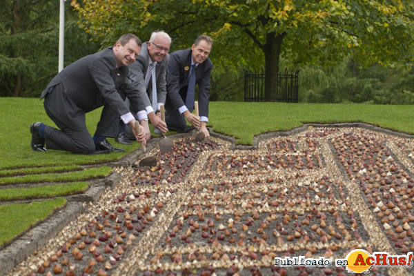 /public/fotos2/Keukenhof-18102012.jpg