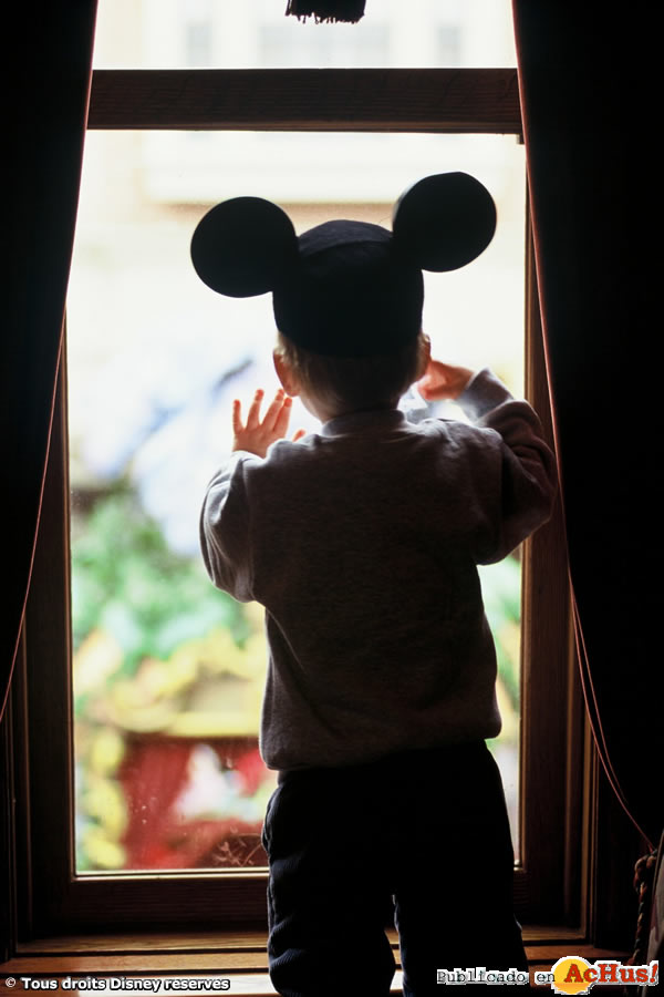 /public/fotos2/La-Fete-Magique-de-Mickey-3.jpg