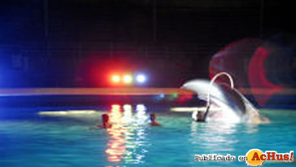 /public/fotos2/Las-Noches-del-Zoo-24062009.jpg