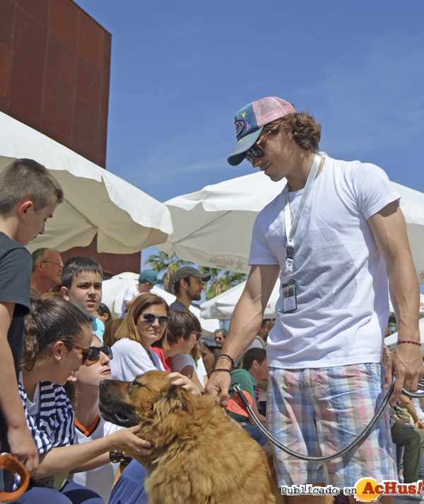 /public/fotos2/Lucas-Orban-11052015.jpg