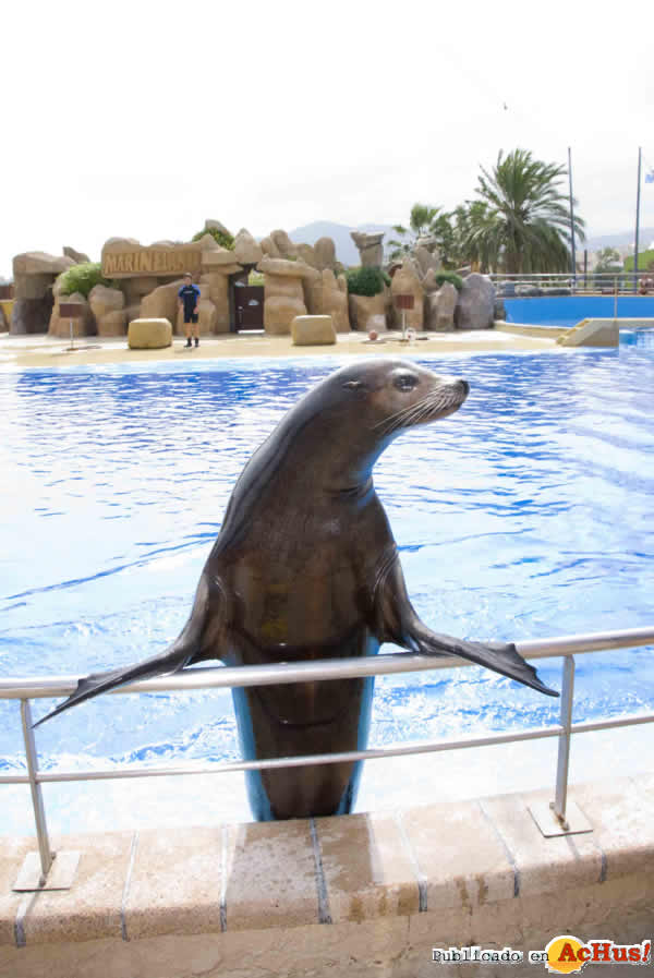 /public/fotos2/Marineland-09052012.jpg