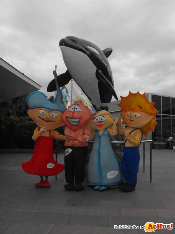 /public/fotos2/Mascotas-Loro-Parque.jpg