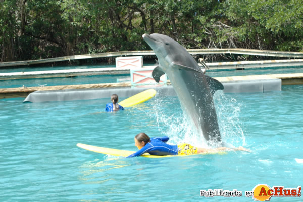 /public/fotos2/MiamiSeaquarium-17092013.jpg