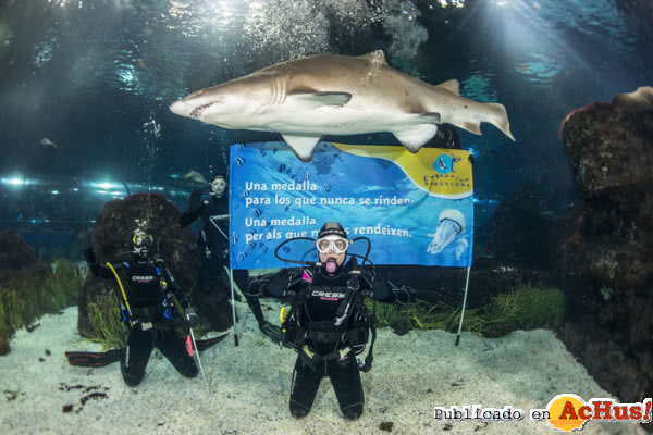 /public/fotos2/Mireia-Belmonte-tiburones-aquarium-31122012.jpg