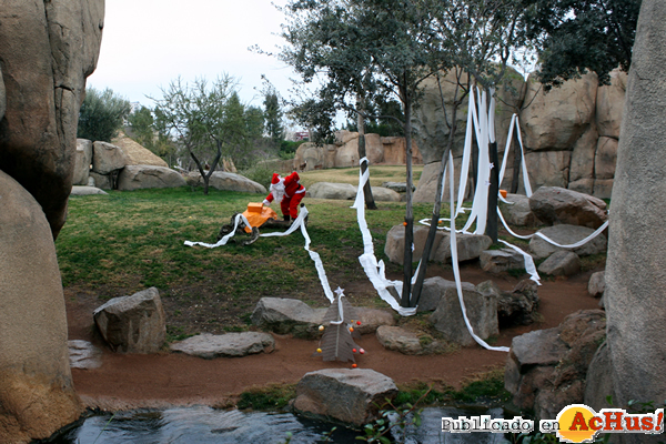 /public/fotos2/Navidad-1-2013-Bioparc.jpg