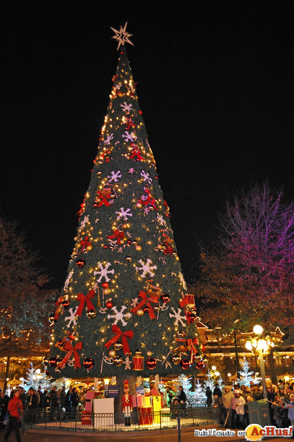 /public/fotos2/Navidad-2009-Disneyland-Paris-13.jpg