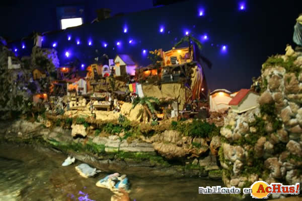 /public/fotos2/Navidad-Sea-Life-52009.jpg