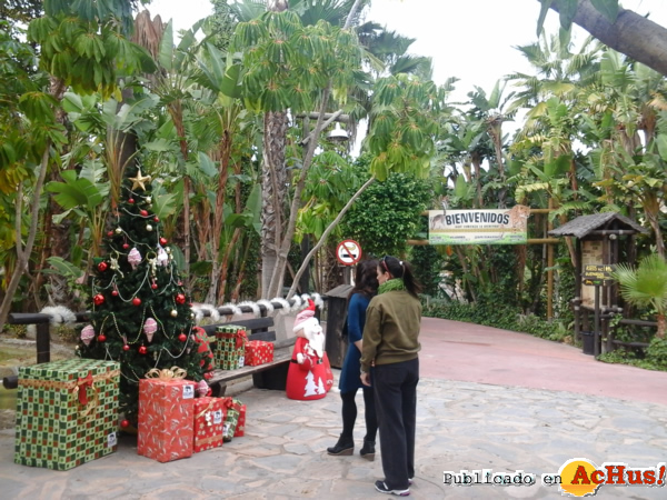 /public/fotos2/Navidad-Selwo-Aventura-2-05122013.jpg