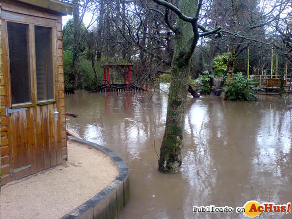 /public/fotos2/Newquay-Zoo-01.jpg