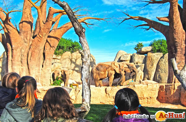 /public/fotos2/Ninos-Bioparc-18112014.jpg