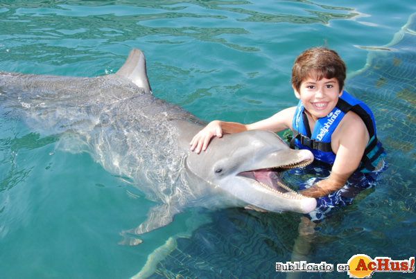 /public/fotos2/Ninos-disfrutan-nado-con-delfines-29062012.jpg