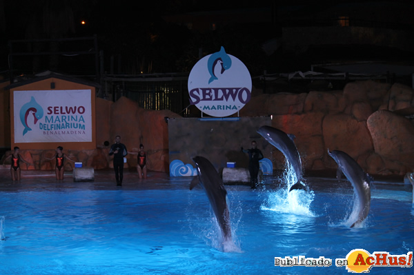 /public/fotos2/Noches-Magicas-Delfinarium-15082004.jpg