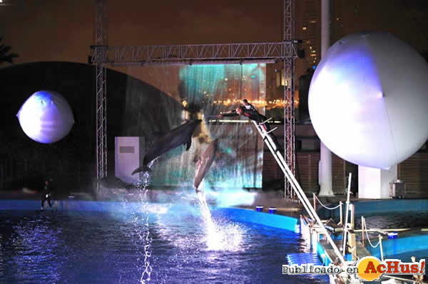 /public/fotos2/Noches-del-Oceanografic-21072010.jpg