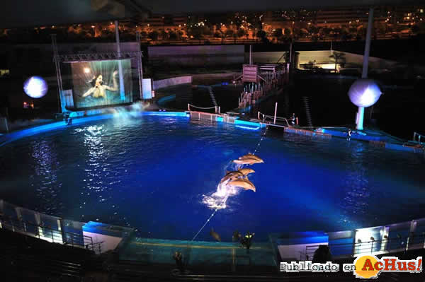 /public/fotos2/Noches-del-Oceanografic-321072010.jpg