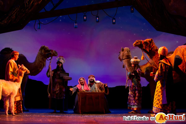 /public/fotos2/OWondrousNight-30102012.jpg