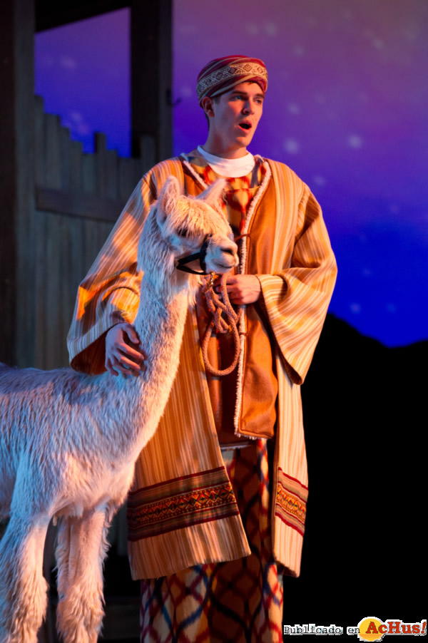 /public/fotos2/OWondrousNight2-30102012.jpg