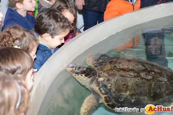 /public/fotos2/Oceanografico-24022014.jpg