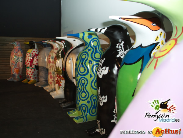 /public/fotos2/Penguin-29082012.jpg