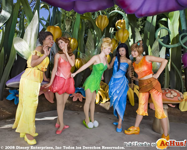 /public/fotos2/Pixie-Hollow2-01112008.jpg