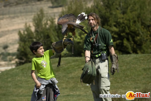 /public/fotos2/Rapaces-09102012.jpg