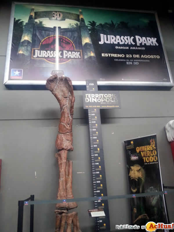 /public/fotos2/Replica-pata-Turiasaurus-Kinepolis-21082013.jpg