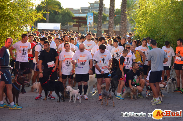 /public/fotos2/Salida-Can-rrera-BIOPARC-15092015.jpg