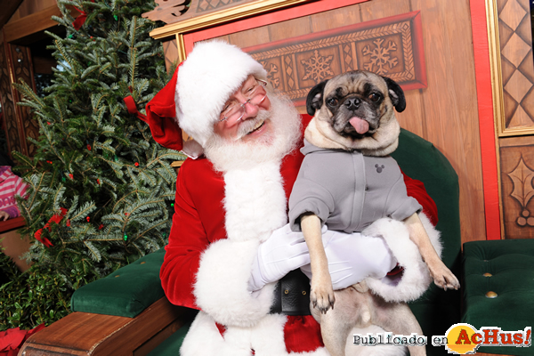 /public/fotos2/Santa-Claus-02122008.jpg