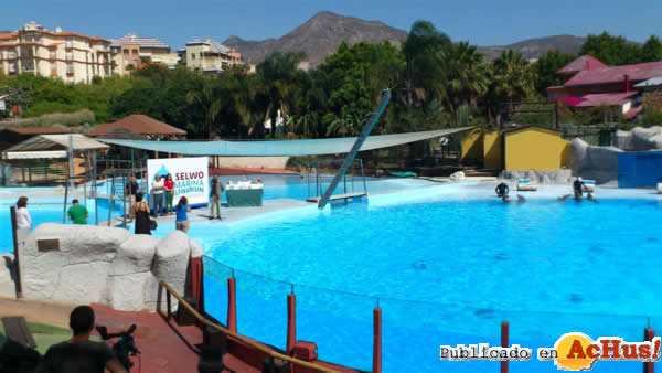 /public/fotos2/Selwo-Marina-Delfinarium-2.jpg