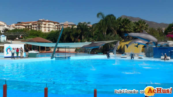 /public/fotos2/Selwo-Marina-Delfinarium-4.jpg