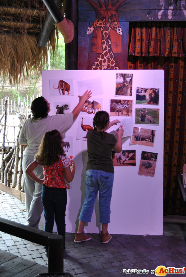 /public/fotos2/Taller-Bioparc-20102013.jpg