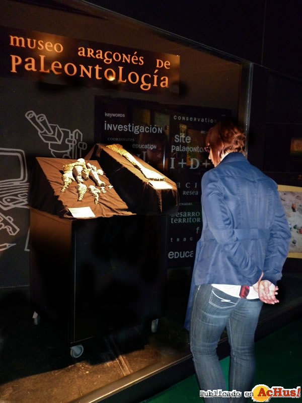 /public/fotos2/Tastavinsaurus-sanzi-El-Castellar-04062013.jpg