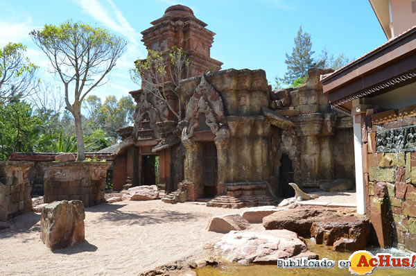 /public/fotos2/Templo-Khermer-Dragon-Komodo-02082014.jpg