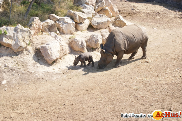 /public/fotos2/Terra-Natura-Benidorm-01032012.jpg